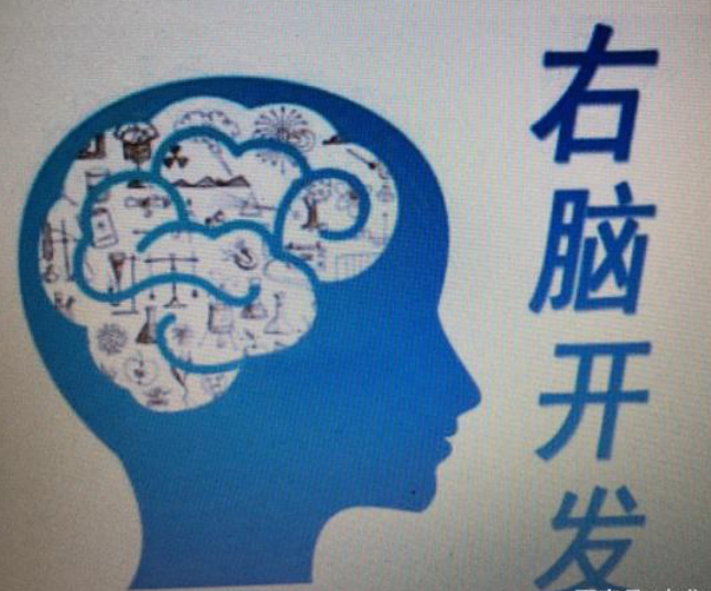 教育部:提高青少年學(xué)習(xí)力的重要途徑開發(fā)右腦