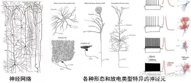 中國(guó)腦健康日關(guān)注“頭”等大事，中國(guó)腦科技的未來(lái)是什么？