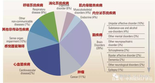 中國(guó)腦健康日關(guān)注“頭”等大事,中國(guó)腦科技的未來(lái)是什么?